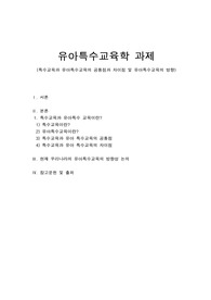 특수교육과 유아특수교육의 공통점과 차이점 및 유아특수교육의 방향성