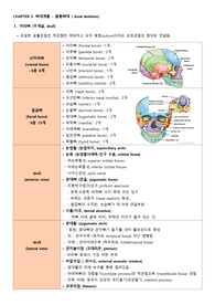 뼈대계통 필기정리본