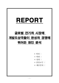 글로벌 전기차 시장에 개발도상국들이 완성차 경쟁에 뛰어든 원인 분석