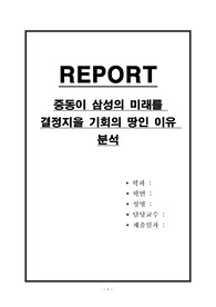 중동이 삼성의 미래를 결정지을 기회의 땅인 이유 분석