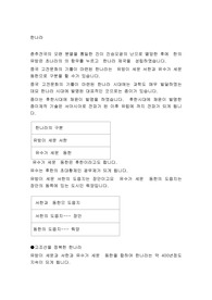 한나라