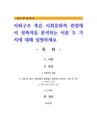 사회구조 혹은 사회문화적 관점에서 성폭력을 분석하는 이론 두 가지에 대해 설명하세요