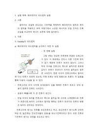 페러데이 유도법칙 실험