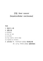 간암/ 간세포암/ livercancer/ 간암 질환고찰/ 간암 간호진단 2개