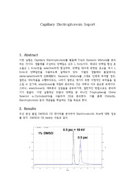 서울대학교 물리분석실험 - Capillary Electrophoresis
