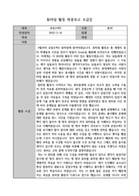멘토링 소감문 (보고서)