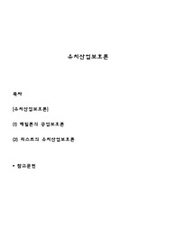 유치산업보호론
