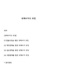 국제수지의 조정