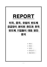 미국, 중국, 유럽의 반도체 공급망이 분리된 원인과 한국 반도체 기업들이 대응 방안 분석