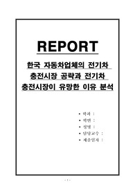 한국 자동차업체의 전기차 충전시장 공략과 전기차 충전시장이 유망한 이유 분석