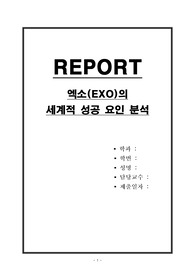 엑소(EXO)의 세계적 성공 요인 분석