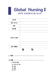 영국의 보건의료시스템 보고