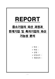 중소기업의 파산 과정과 한계기업 및 흑자기업의 파산 가능성 분석