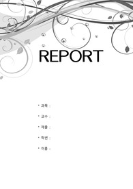 건축가 렘콜하스 분석 보고서