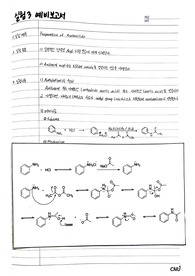 Preparation of Acetanilide 예비보고서