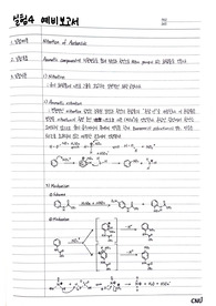 Nitration of Acetanilide 예비보고서