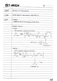 Hydrolysis of 4-Nitroacetanilide 예비보고서