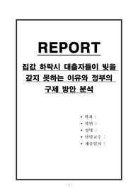 집값 하락시 대출자들이 빚을 갚지 못하는 이유와 정부의 구제 방안 분석