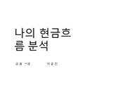 나의 현금흐름분석