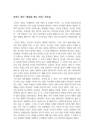 토마스 하디 &lt;환상을 쫒는 여인&gt; 독후감,서평,독서감상문