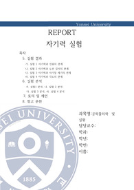 자기력 실험
