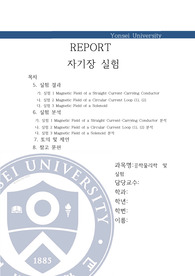 자기장 실험