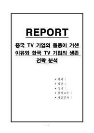 중국 TV 기업의 돌풍이 거센 이유와 한국 TV 기업의 생존 전략 분석