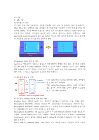 전기영동 실험 보고서