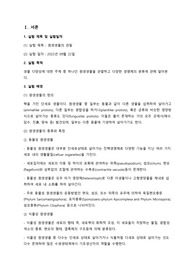 A+/원생생물의 관찰 결과레포트