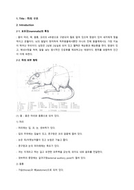 A+/쥐의 구조 예비레포트