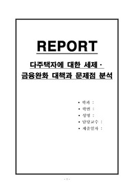 다주택자에 대한 세제,금융완화 대책과 문제점 분석