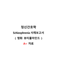 정신간호학 조현병 대상자 간호과정 (영화 뷰티풀마인드) 간호진단, 간호과정 2개