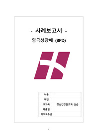 정신간호학실습 케이스 양극성장애 폭력의 위험, 영양불균형, 불면증