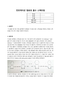 컨쥬게이션 염료의 흡수 스펙트럼 예비보고서