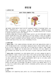 뇌경색  case study