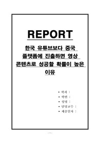 한국 유튜브보다 중국 플랫폼에 진출하면 영상 콘텐츠로 성공할 확률이 높은 이유
