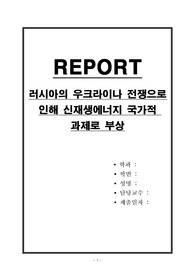 러시아의 우크라이나 전쟁으로 인해 신재생에너지 국가적 과제로 부상