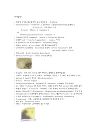 임상병리사 국가고시 미생물학 최종정리