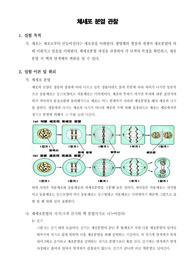 [일반생물학실험]체세포 분열 관찰