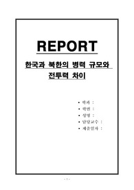 한국과 북한의 병력 규모와 전투력 차이