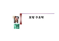 모발구조학