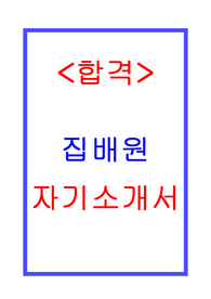 집배원 자기소개서