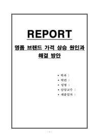 명품 브랜드 가격 상승 원인과 해결 방안