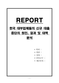 한국 대부업체들의 신규 대출 중단의 원인, 결과 및 대책 분석