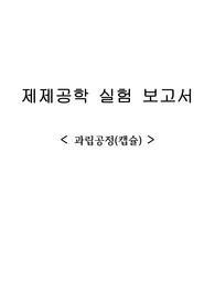과립공정(캡슐) 실험 보고서