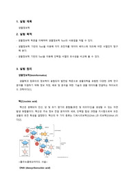 아주대학교 생물학실험1 A+ 생물정보학 보고서