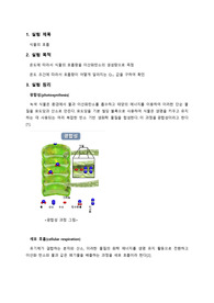 아주대학교 생물학실험1 A+ 식물의 호흡 보고서