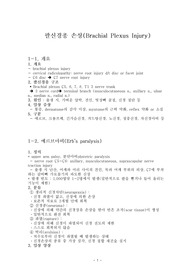 팔신경총손상