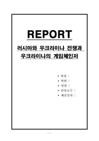 러시아와 우크라이나 전쟁과 우크라이나의 게임체인저