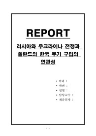 러시아와 우크라이나 전쟁과 폴란드의 한국 무기 구입의 연관성
